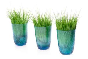 grass in glass